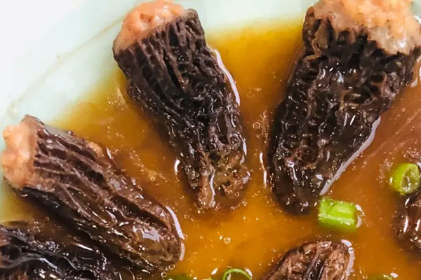羊肚菌對癌癥有作用嗎，羊肚菌能治乳腺增生嗎