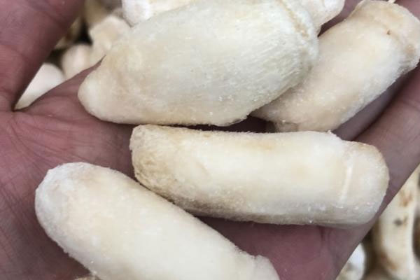 松茸奶酪拌意面的食用禁忌 松茸奶酪拌意面的食用禁忌