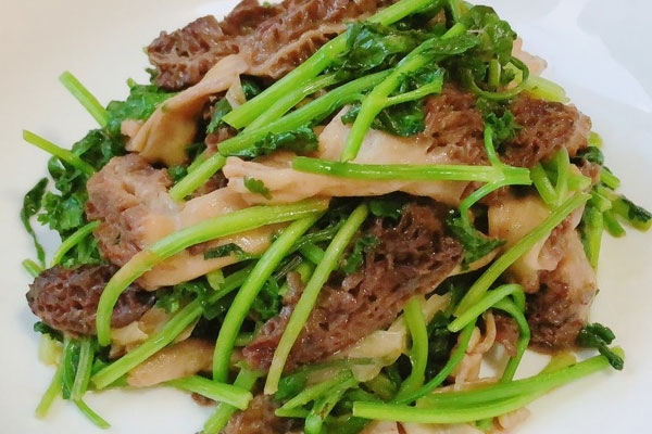香菜爆炒羊肚菌的做法，有哪些功效作用