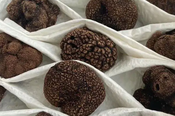 黑松露醬香五花肉的功效作用 黑松露醬香五花肉的功效作用