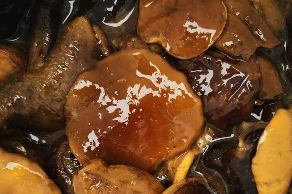 紅乳牛肝菌的熱量高嗎，紅乳牛肝菌湯有點(diǎn)微苦
