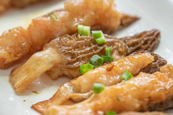 羊肚菌的營(yíng)養(yǎng)是其他食材的多少倍 羊肚菌的營(yíng)養(yǎng)是其他食材的多少倍