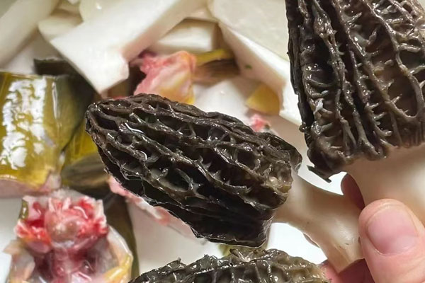 羊肚菌黃骨魚湯的功效作用 羊肚菌黃骨魚湯的功效作用
