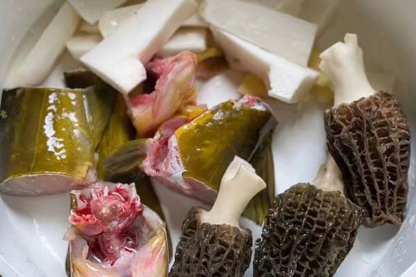 羊肚菌黃骨魚湯的食用禁忌 羊肚菌黃骨魚湯的食用禁忌