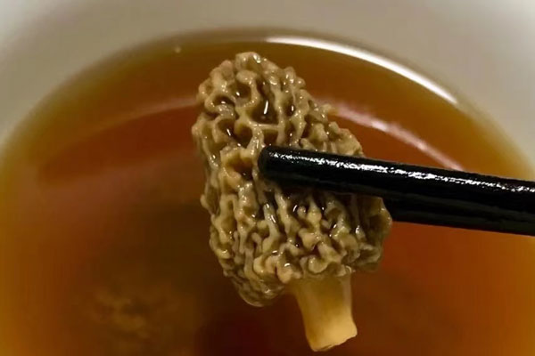 羊肚菌茯苓枸杞湯的做法，有哪些功效作用