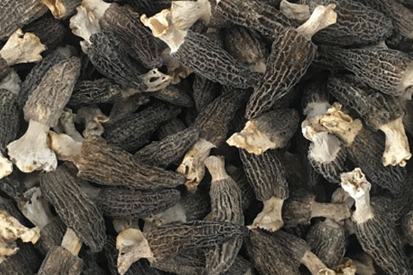 羊肚菌魷魚(yú)排骨湯的食用禁忌 羊肚菌魷魚(yú)排骨湯的食用禁忌