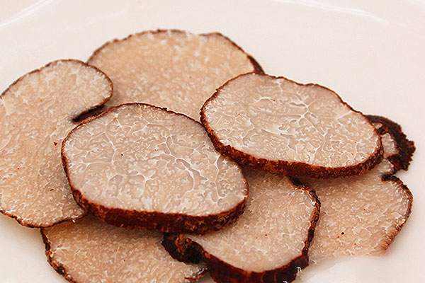 黑松露生長環(huán)境的特點 黑松露生長環(huán)境的特點