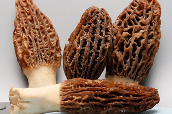 吃羊肚菌會(huì)肚子疼嗎，吃羊肚菌會(huì)嘔吐嗎