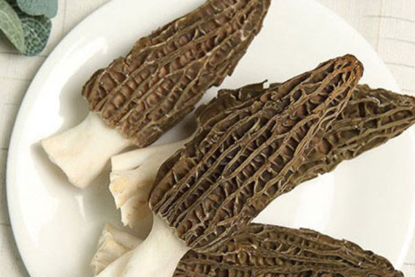 胃熱的人可以吃羊肚菌嗎，痛經(jīng)可以吃羊肚菌嗎