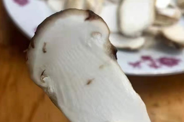 松茸番茄炒雞蛋的食用禁忌 松茸番茄炒雞蛋的食用禁忌
