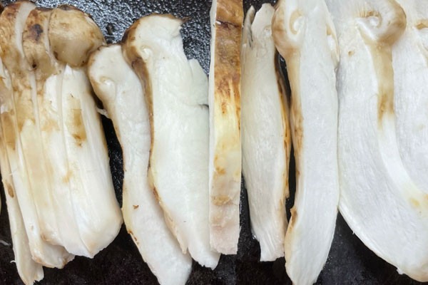 松茸屬于山珍嗎，松茸是大腿蘑菇嗎