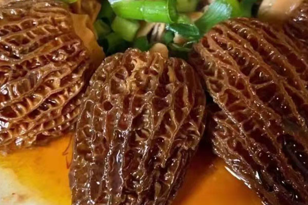 羊肚菌抗哪幾種癌，羊肚菌能抑制腫瘤嗎