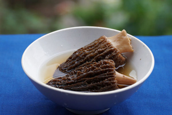 透析可以吃羊肚菌嗎，腎衰竭能吃羊肚菌嗎