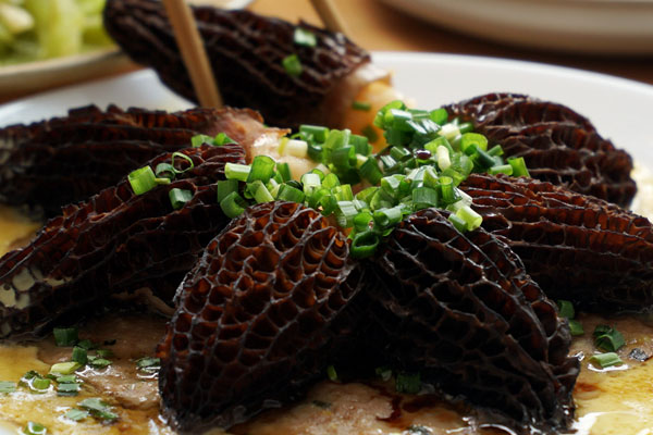 羊肚菌蝦滑蛋餅怎么做好吃，有哪些營養(yǎng)價值