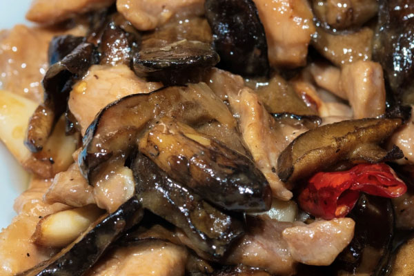牛肝菌可以在家種嗎，牛肝菌容易中毒嗎？