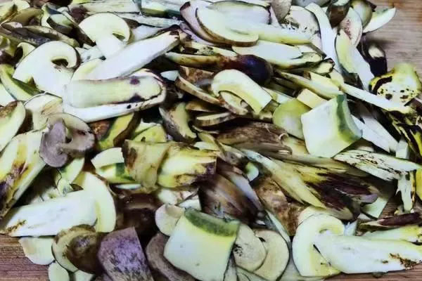 化療后能吃牛肝菌嗎 化療后能吃牛肝菌嗎